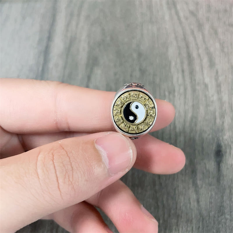 KarmaRipple's Yin Yang Chinese Zodiac Bronze Wealth Adjustable Ring p6