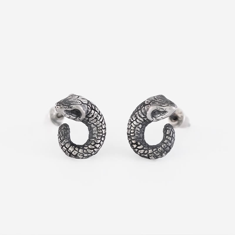 KarmaRipple's 999 Sterling Silver Snake Texture Year Of The Snake Protection Balance Earrings p12