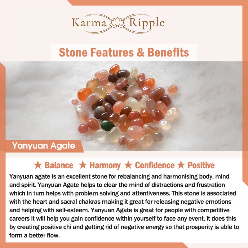 KarmaRipple's Yanyuan Agate Cat Claw Paw Ivory Bodhi Seed Fu Character Positive Woven Rope Bracelet p7