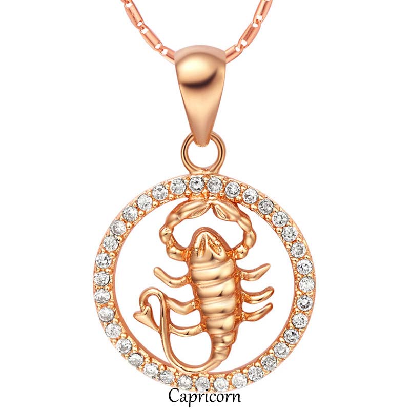 KarmaRipple's 12 Constellations of the Zodiac Rhinestone Fortune Pendant Chain Necklace ( p25