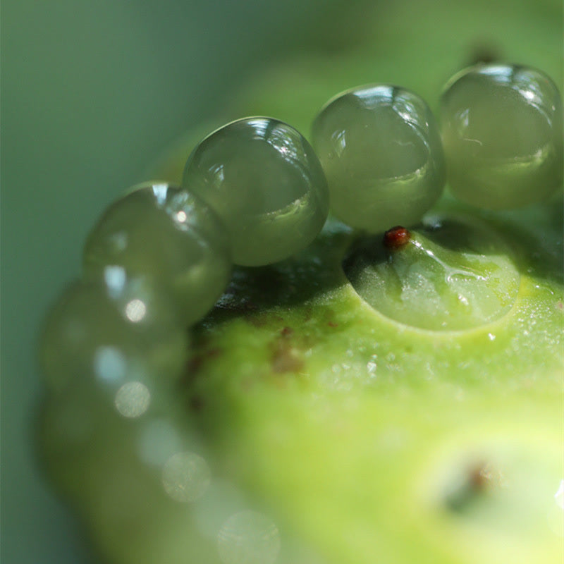 KarmaRipple's Jade Lotus Abundance Adjustable Bracelet p12